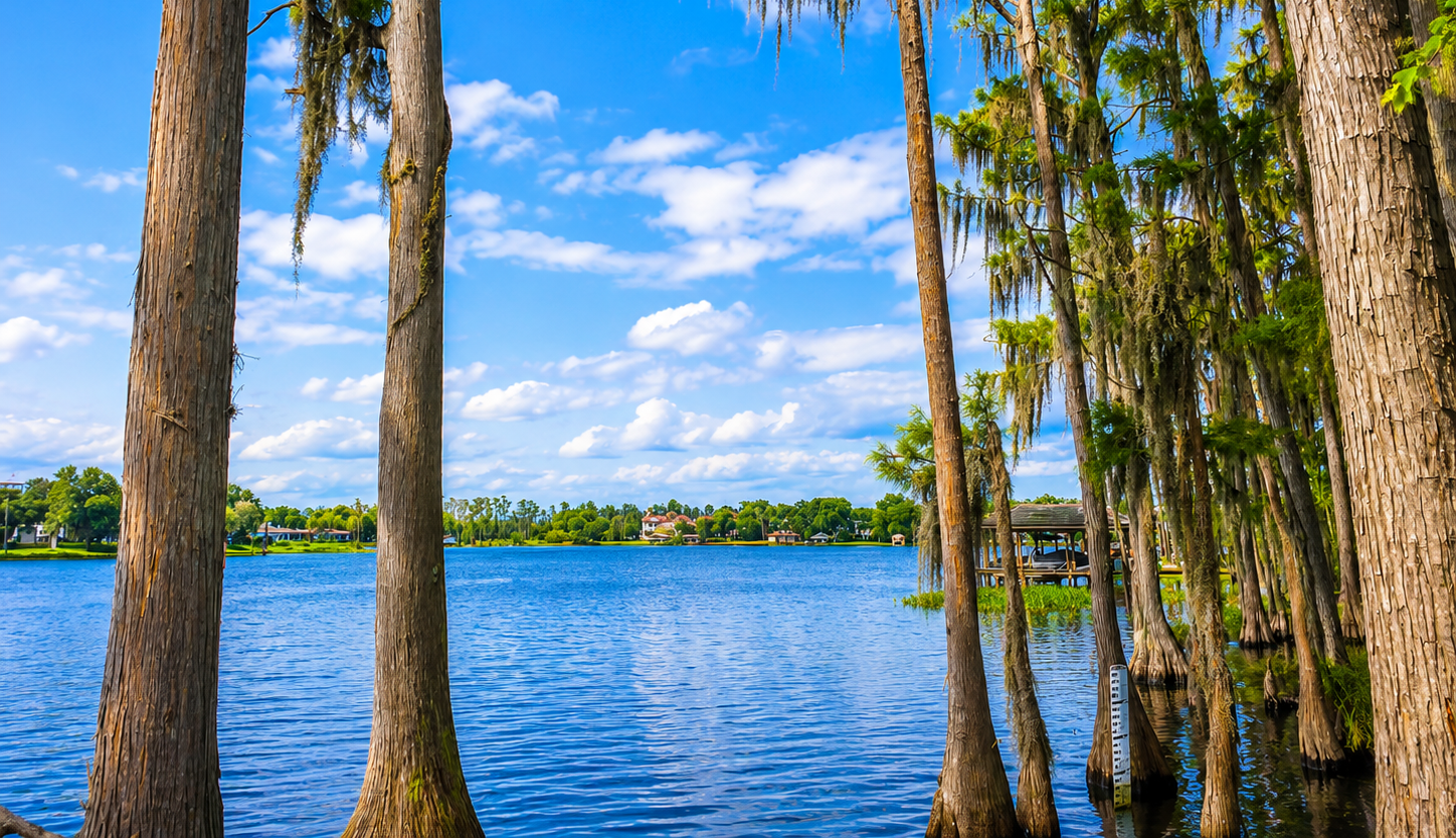 Casas en Venta en Windermere FL