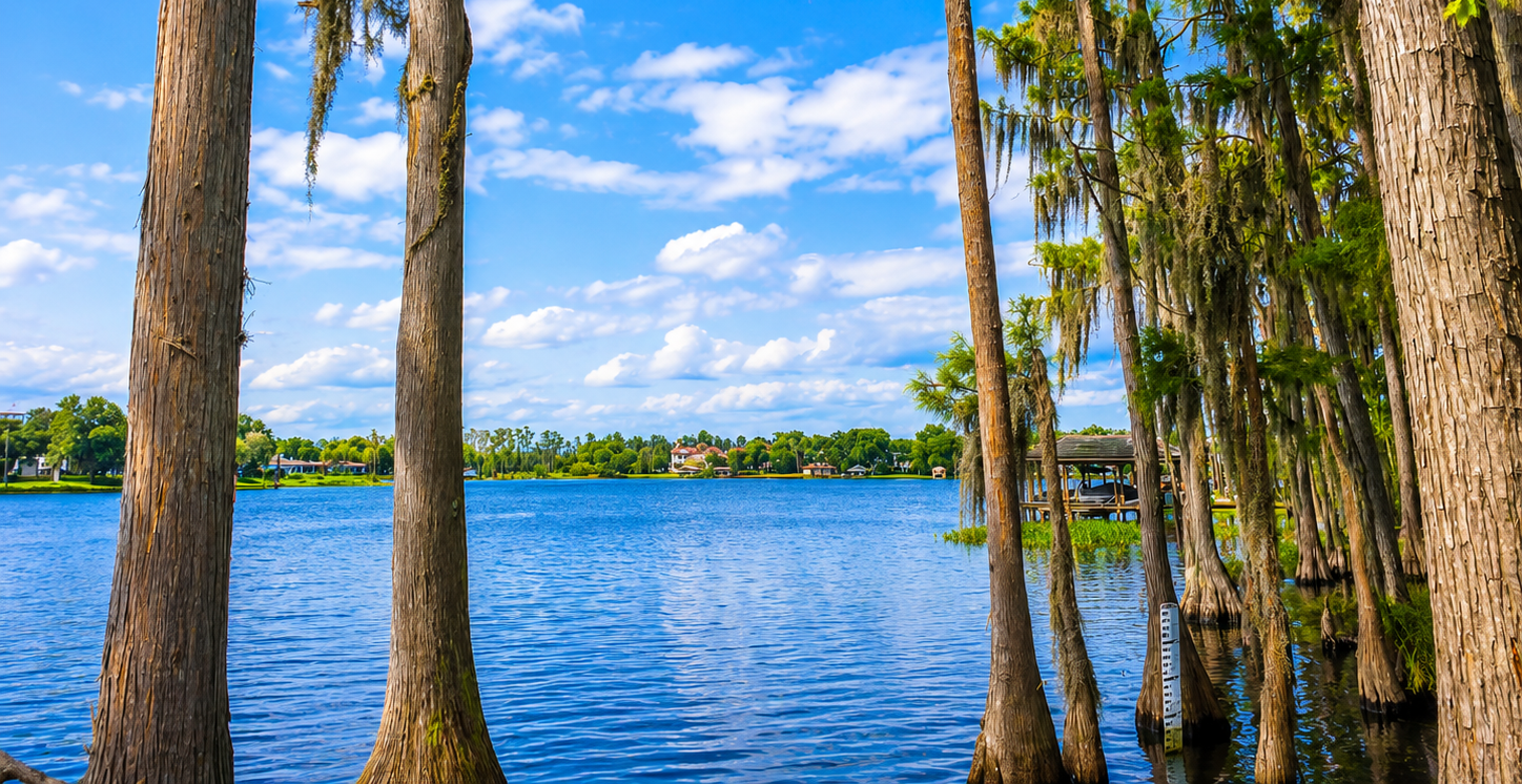 Homes for Sale in Windermere FL